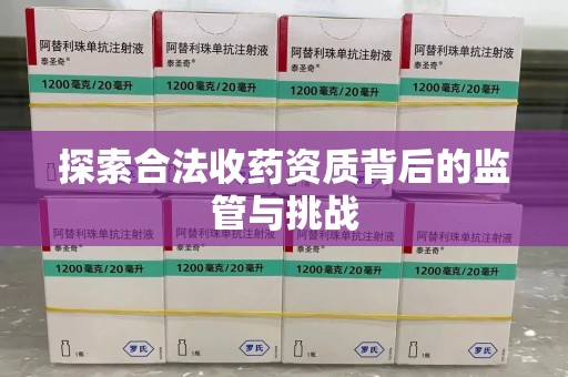 荆州探索合法收药资质背后的监管与挑战