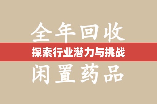 荆州探索行业潜力与挑战