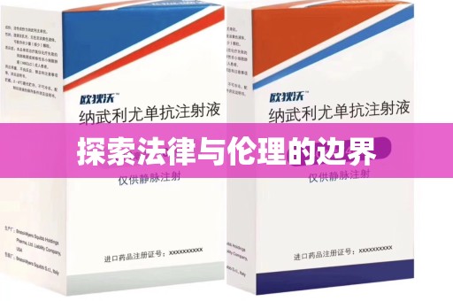 荆州探索法律与伦理的边界