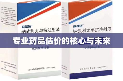 荆州专业药品估价的核心与未来