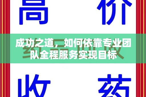 荆州成功之道，如何依靠专业团队全程服务实现目标