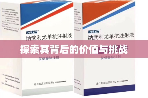 荆州探索其背后的价值与挑战