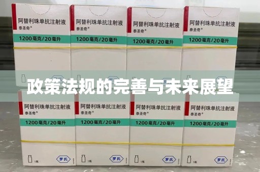 荆州政策法规的完善与未来展望