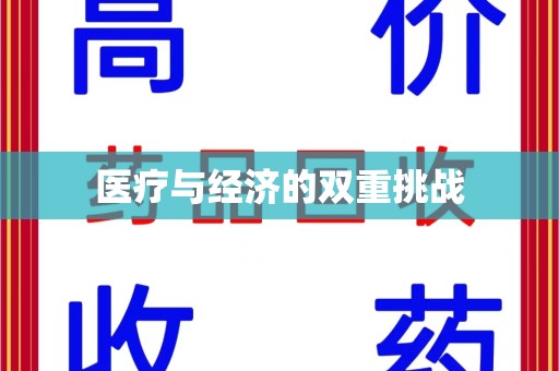 荆州医疗与经济的双重挑战