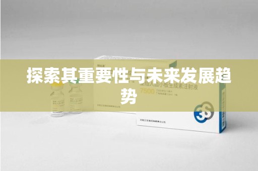 荆州探索其重要性与未来发展趋势