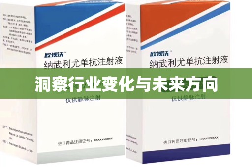 荆州洞察行业变化与未来方向